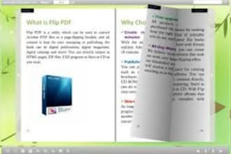design a flipbook in 48hours with a free host flip book link