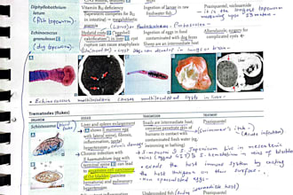 tutor usmle step 1 and usmle step 2 ck