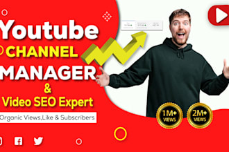 do your youtube channel manager and video SEO rank