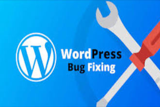 fix wordpress bugs, errors, problems of plugin and themes