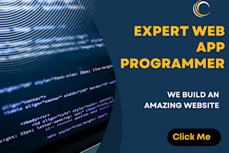 be your web programmer, web application, web app programmer
