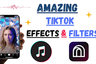 provide custom tiktok filters and tiktok effects with effect house