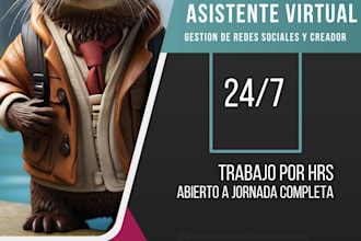 be your professional virtual assistant and digital tasks