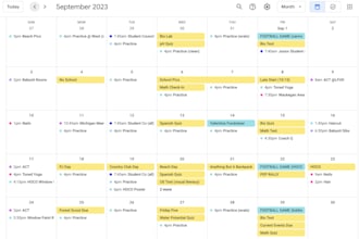 manage and organize your google calendar