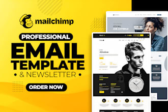 design a professional mailchimp email newsletter template in 1 hour