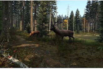 fivem script,ped,dayz server,map, fivem mlo,gta v interior, qbcore, esx, vorp