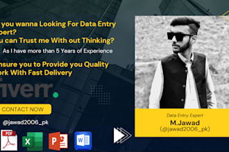 do data entry typing work job as a professional