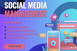 be your social media marketing manager and  content creator