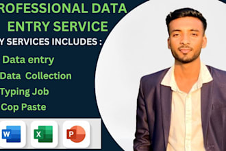 be professional data entry service , excel data entry,