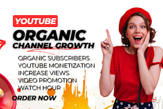 do youtube video promotion shoutout to 4m organic subscribers monetization views