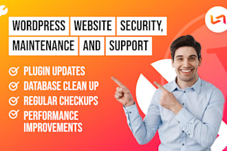 do ongoing wordpress website maintenance and support