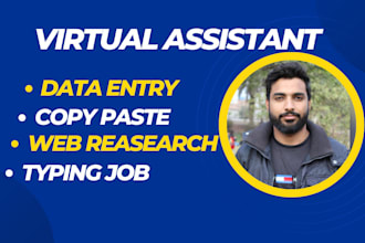 expert virtual assistant for data entry, data mining copy paste and web research
