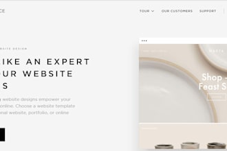 build a professional squarespace online store or squarespace website
