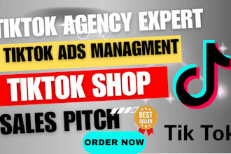 boost your sellvia 90k sales sellvia marketing shopify digital store, tiktok ads