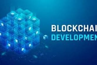fork ethereum blockchain, solana based on your requirement