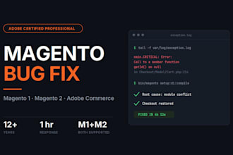 fix magento bugs, errors and issues as adobe certified expert