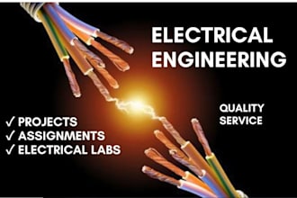 do electrical engineering projects, problems , labs
