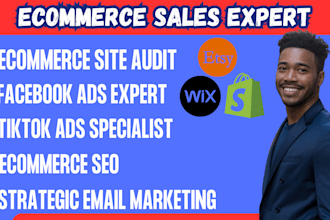 increase shopify sales with SEO, facebook and tiktok ads, etsy promotion, wix