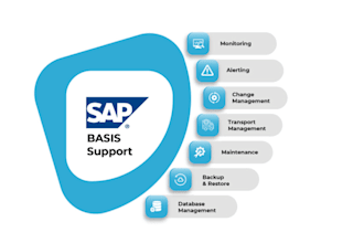 support sap system administration and I am certified hana consultant