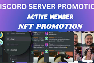 do discord server promotion, organic growth, discord active member, nft discord