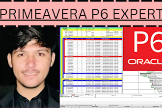 prepare construction schedule using primavera p6