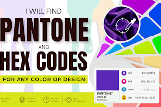 find pantone and hex codes for any color or design