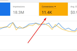 optimize and manage your google ads PPC campaigns and youtube campaigns
