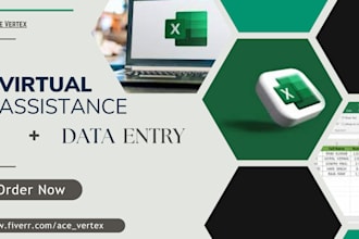 do any excel, data entry, research, typing, copy paste, and virtual assistant