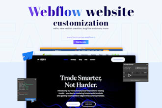 create new section, edit, fix bugs in your webflow website