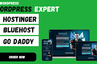 do wordpress website design on bluehost godaddy hostinger