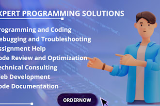 deliver expert programming solutions in c, cpp, java, and python