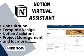 create notion notion template virtual assistant database
