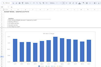 do excel google sheet automation, visualization, custom template, budgeting