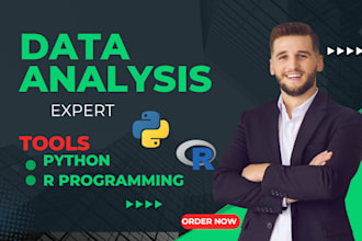 do any kind of data analysis projects in python and r programming