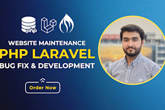 be full stack PHP laravel developer or a software developer