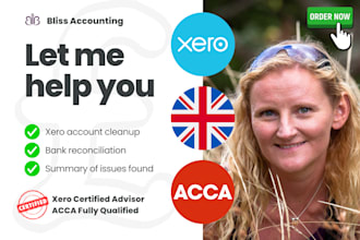 help busy accountants with their bookkeeping