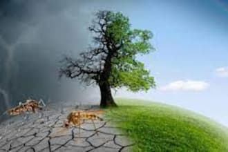 do geology, marine, climate change and environmental tasks