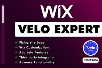 add custom features, integrate API on your wix website
