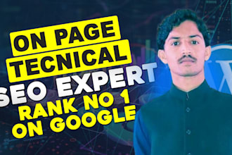do complete on page technical seo for your wordpress website for top ranking