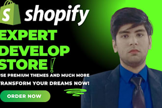 shopify theme developer, shopify SEO for expert design
