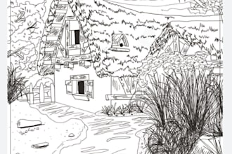 draw line art illustrations
