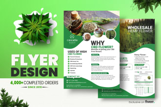 design professional flyers, brochures, booklets, proposals, and PDF documents