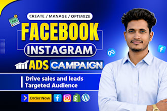 be your facebook and instagram ads campaign manager, run shopify fb ads