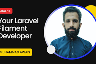 be your laravel filament senior developer