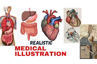 make medical, scientific illustration, dental, drawing, exercises and anatomy