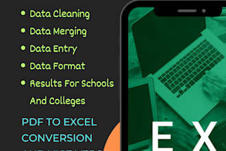 do excel data entry, split, merging, clean, format and results
