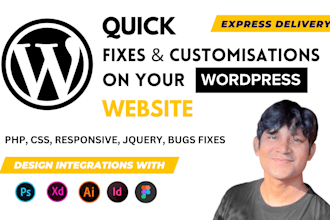 do wordpress fixes and wordpress customisations