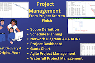 do project and business plan, gantt chart using ms project