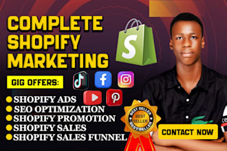 boost shopify sales using ebay promotion, organic website traffic, and marketing