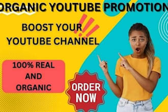 do USA organic christian youtube video promotion, channel monetization